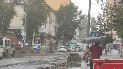 Ardahan'da dolu yağışı etkili oldu