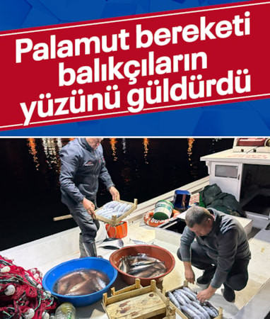 Kırklareli'de palamut bereketi balıkçıların yüzünü güldürdü