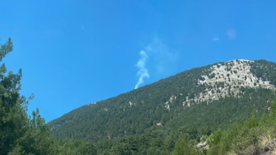 Muğla'da orman yangını