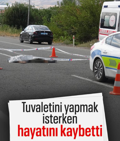 Malatya'da tuvalet için yolun karşısına geçen sürücüye araç çarptı