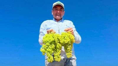 Saruhanlı Belediye Başkanı elini makineye kaptırdı: Ameliyata alındı