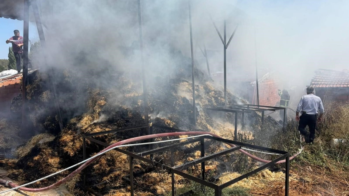 Bilecik’te iki köyde çıkan yangın korkuya neden oldu