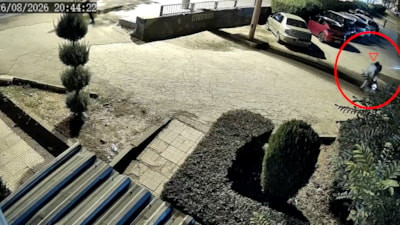 Diyarbakır'da Sultan çocuğunun yanında katledildi