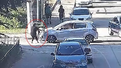 Eskişehir'de 3 yaşındaki Mavi'ye çarparak öldüren kadın sürücü serbest
