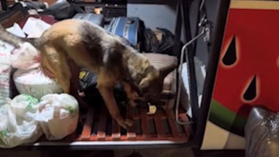 Kayseri'de 3 kilo 420 gram uyuşturucuyla yakalanan 2 şüpheli tutuklandı