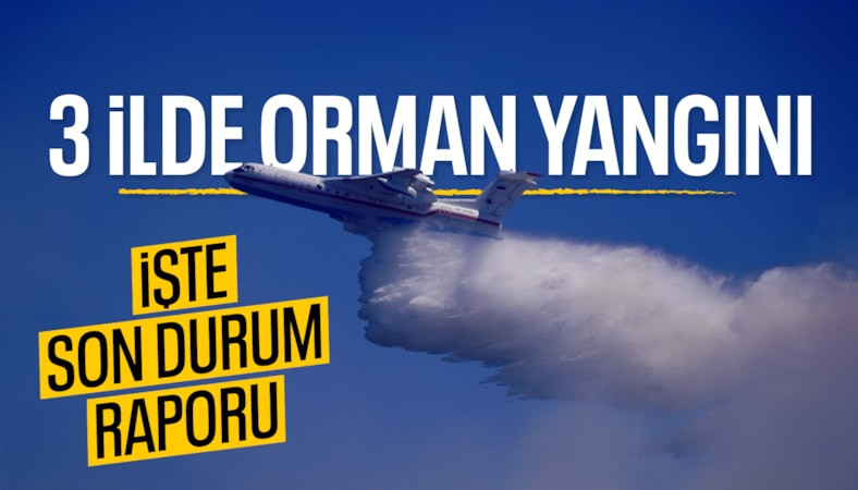 Orman yangınlarında 4 nokta kontrol altında