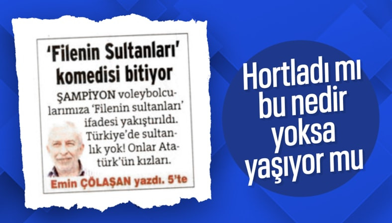 Emin Çölaşan, Filenin Sultanları tabirinden rahatsız oldu