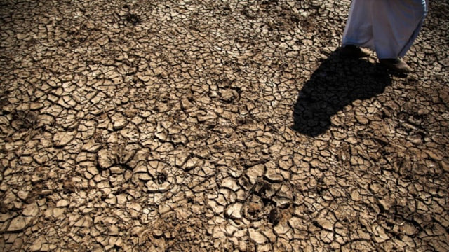 2100'ün sonuna kadar dünyanın yüzde 40'ı kuraklaşabilir