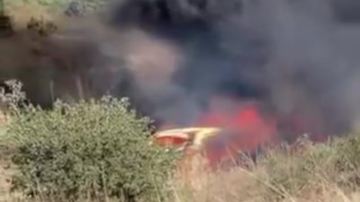 Kocaeli'de otomobil yangını ormana sıçradı