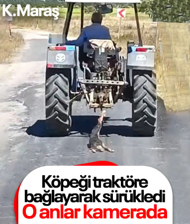 Kahramanmaraş'ta köpeği traktöre bağlayarak sürükledi