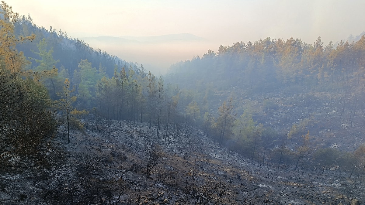 Antalya'da yangının enerjisi düşürüldü