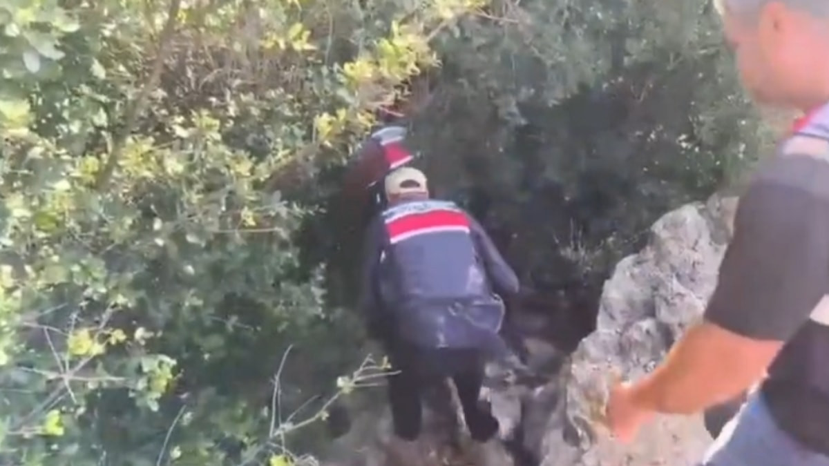 Hatay'da 371 kök kenevir ele geçirildi