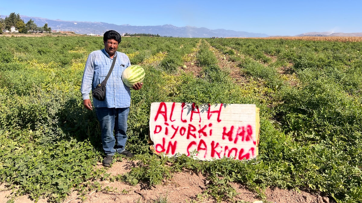 Hatay'da karpuz hırsızlarına çözüm bulamayan çiftçi nöbete başladı