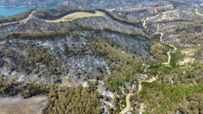 Adana'daki 2 yangın kontrol altına alındı