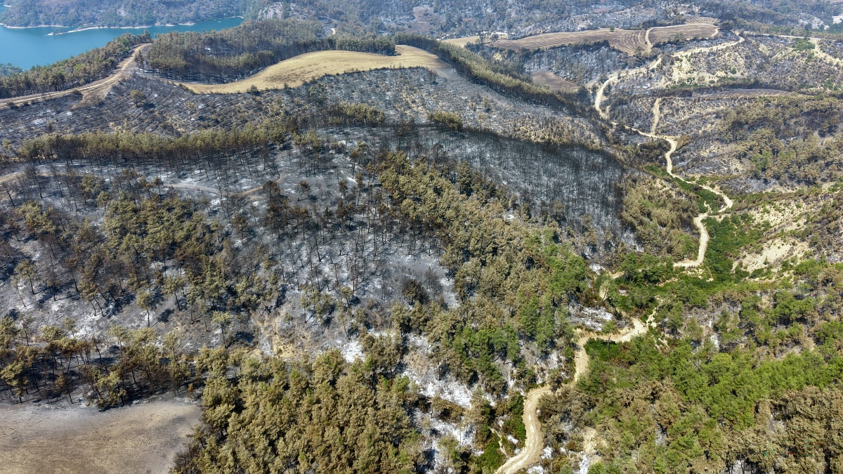 Adana'daki 2 yangın kontrol altına alındı