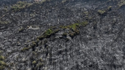 Antalya'da yangının neden olduğu hasar havadan görüntülendi