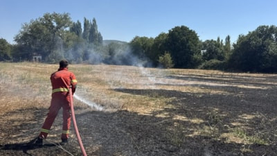 Muğla'da çıkan anız yangını büyümeden kontrol altına alındı
