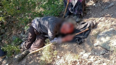 Kastamonu'da kuşburnu toplarken 30 metreden yuvarlanan adam yaralandı