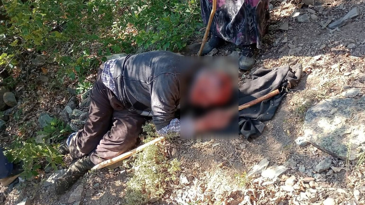 Kastamonu'da kuşburnu toplarken 30 metreden yuvarlanan adam yaralandı
