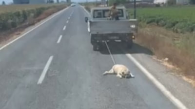 Şanlıurfa'da köpeği kamyonetin arkasına bağlayıp sürüklediler