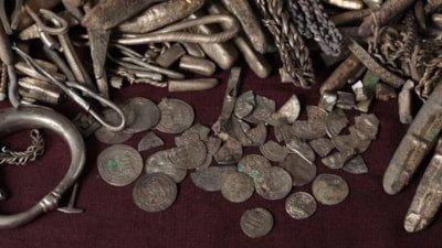 Danimarka'da bahçesini temizleyen bir kişi, Viking dönemine ait gümüş hazinesi buldu