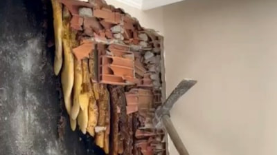 İstanbul'da yıkılacak binadan arı kovanı çıktı