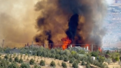 Ankara'da ormanlık alanda yangın çıktı
