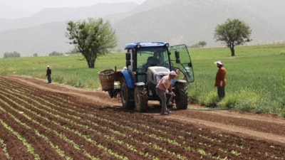 Tarımsal ve hayvansal destek ödemeleri bugün yapılacak