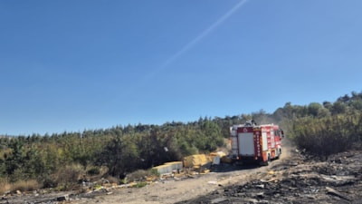 Balıkesir'de makilik alanda yangın