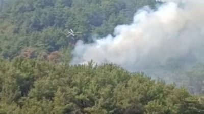 Adana'da orman yangını çıktı
