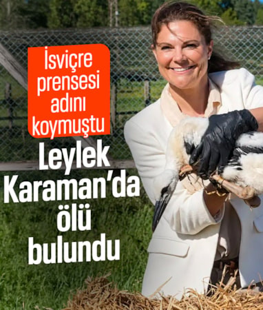 İsveç Prensesi'nin adını verdiği leylek Karaman'da ölü bulundu