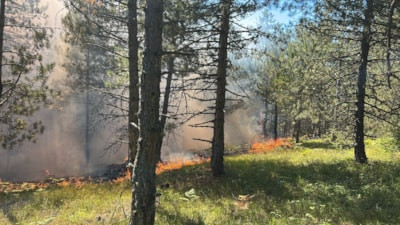 Bolu'da çıkan yangına müdahale edildi