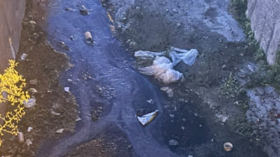İzmir'de dere kirliliğine tepki: Buyursunlar gelsinler