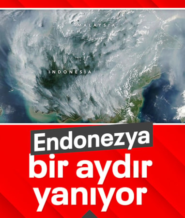 Endonezya, 1 aydır orman yangınlarıyla mücadele ediyor