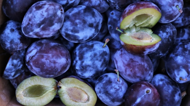 Hem güneşsiz, hem şekersiz: 1 günde mürdüm eriği kurutma yöntemi