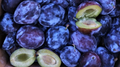 Hem güneşsiz, hem şekersiz: 1 günde mürdüm eriği kurutma yöntemi