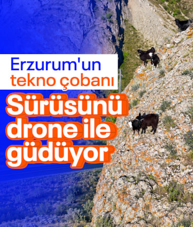 Erzurumlu 'tekno çoban', keçilerini drone ile sarp kayalıklardan kurtarıyor