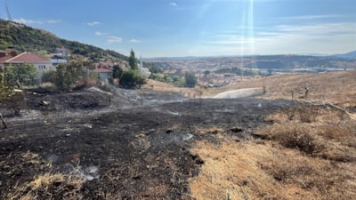 Bilecik'te otluk yangını