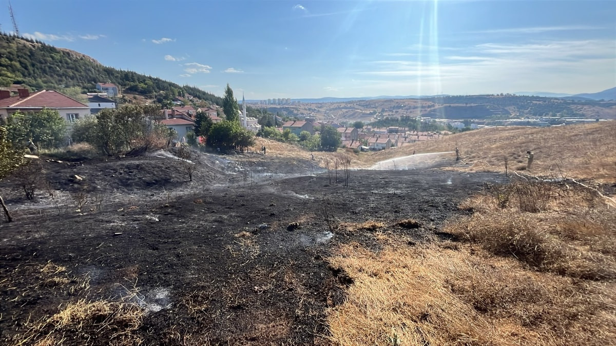 Bilecik'te otluk yangını