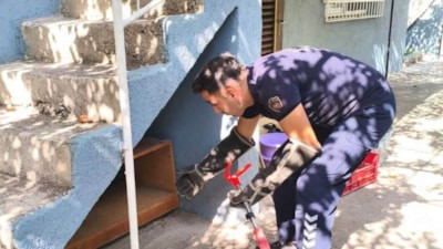 Hatay'da evde yılan paniği