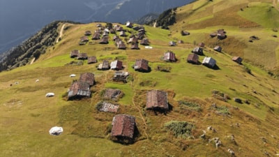 Trabzon yaylaları sonbaharın renkleriyle güzelleşiyor