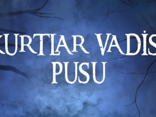 Kurtlar Vadisi Pusu dizisi hakkında FETÖ incelemesi başlatıldı