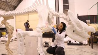 Kayseri’de bulunan 'gergedanların atası' 3D teknolojisiyle ayaklandırılıyor