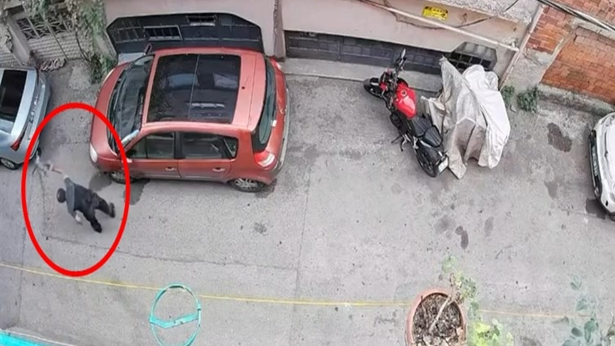 Bursa'da kucağındaki kediyi yere vuran şüpheli yakalandı