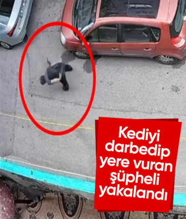 Bursa'da kucağındaki kediyi yere vuran şüpheli yakalandı