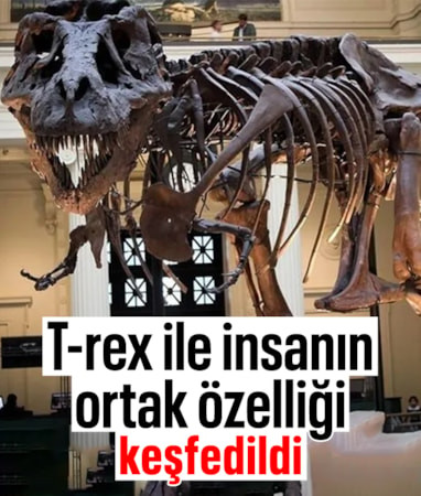 T-rex ile insanların ortak özelliği: Vücut ısıları aynı çıktı