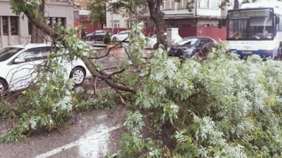 Ankara'da sağanak yağış: Devrilen ağaç trafiği aksattı