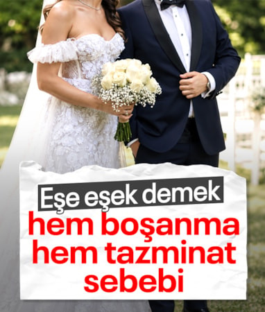 Bursa'da eşe "eşek" demek boşanma sebebi sayıldı