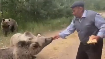 Bitlis'te tehlikeye aldırış etmedi: Eliyle boz ayı besledi