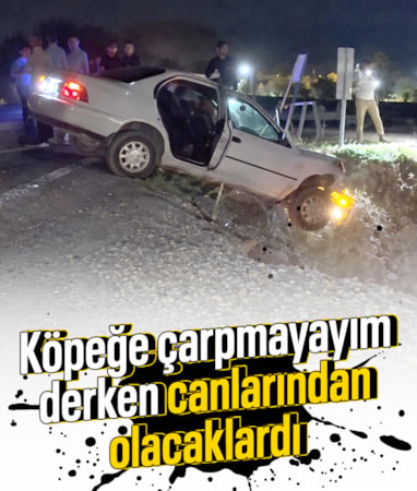 Şanlıurfa'da köpeğe çarpmamak için manevra yaptı, otomobil köprüde asılı kaldı